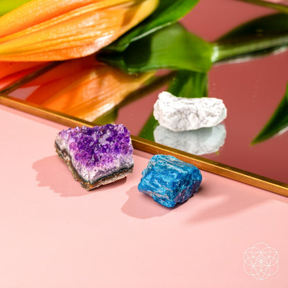 The Anti-Anxiety Trio - Tampa Home & Garden Store
