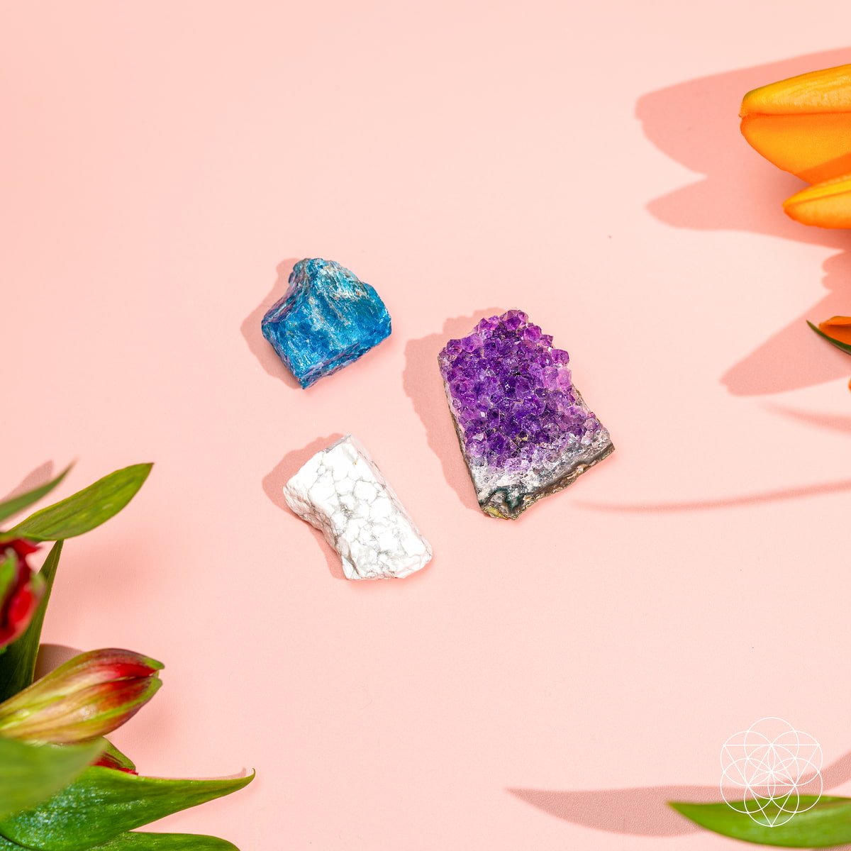 The Anti-Anxiety Trio - Tampa Home & Garden Store