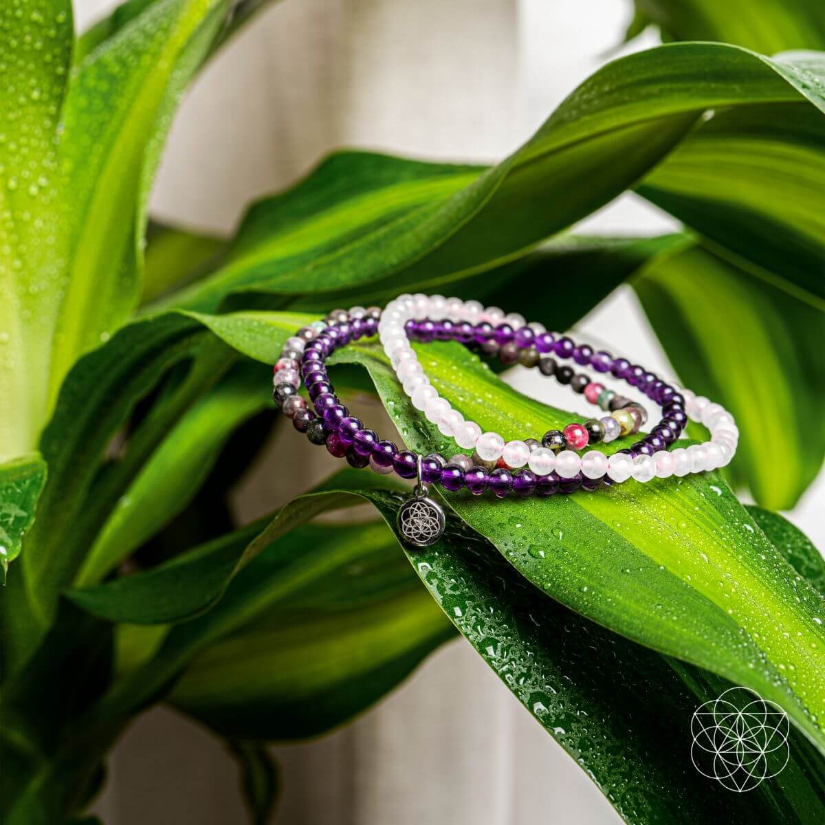 The Anxiety-Free Bracelet Set - Tampa Home & Garden Store