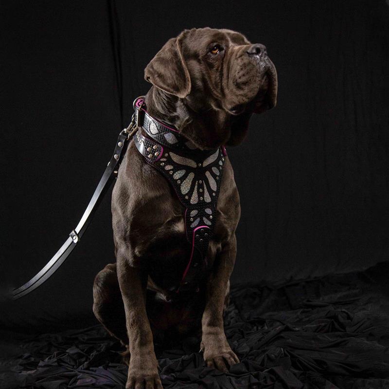 The "Ariel" collar - Tampa Home & Garden Store