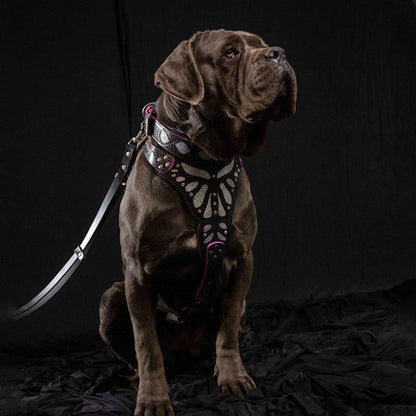 The "Ariel" collar - Tampa Home & Garden Store
