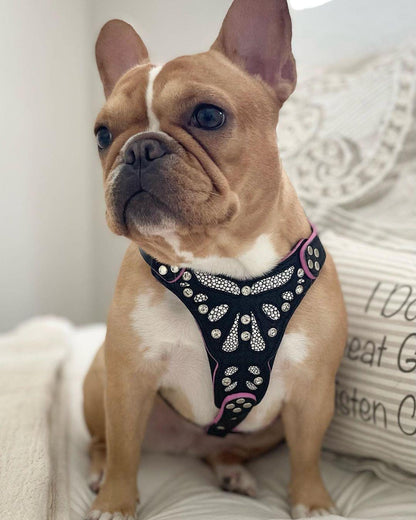 The ''Ariel'' harness Small to Medium Size - Tampa Home & Garden Store