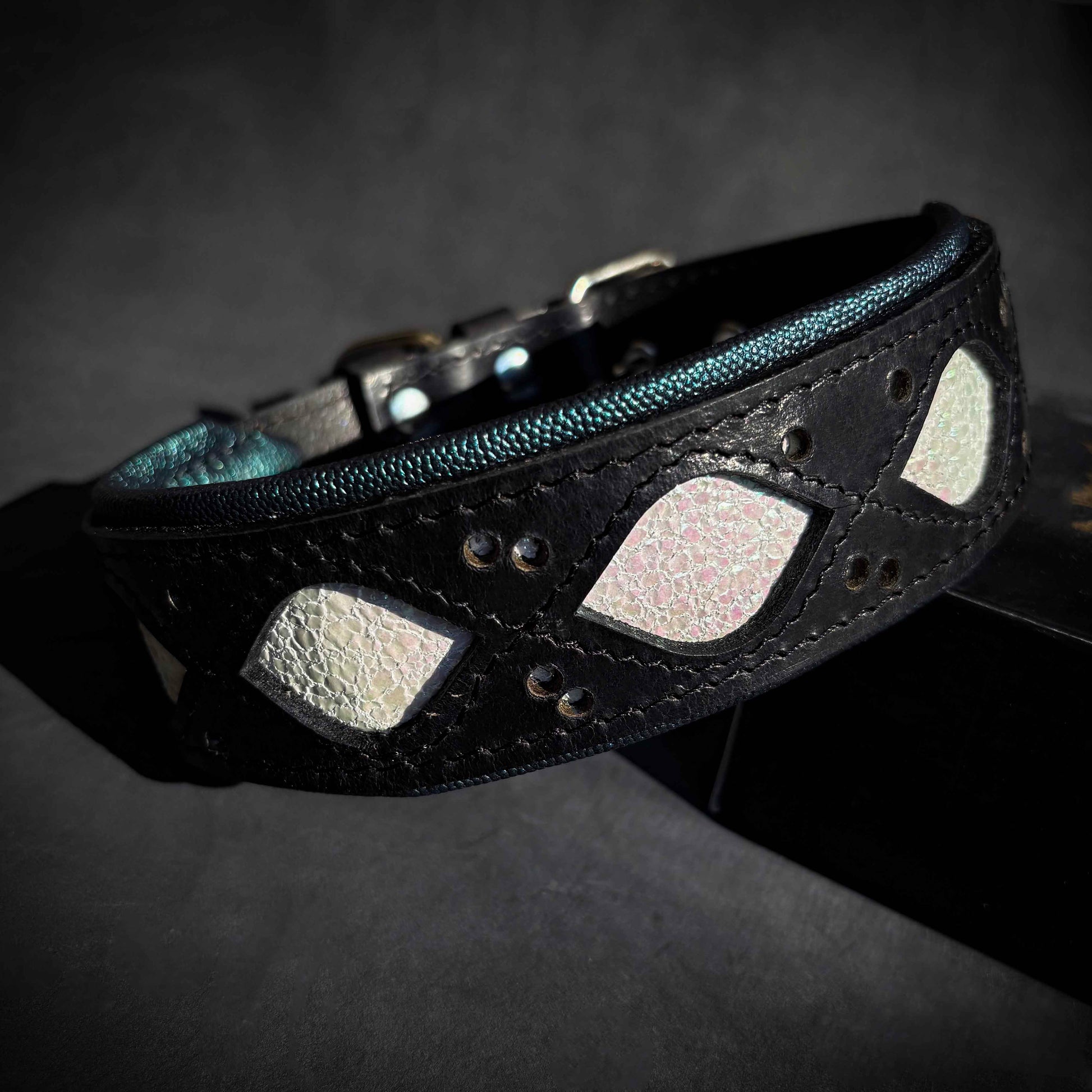 The Avatar Collar - Tampa Home & Garden Store