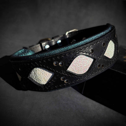 The Avatar Collar - Tampa Home & Garden Store