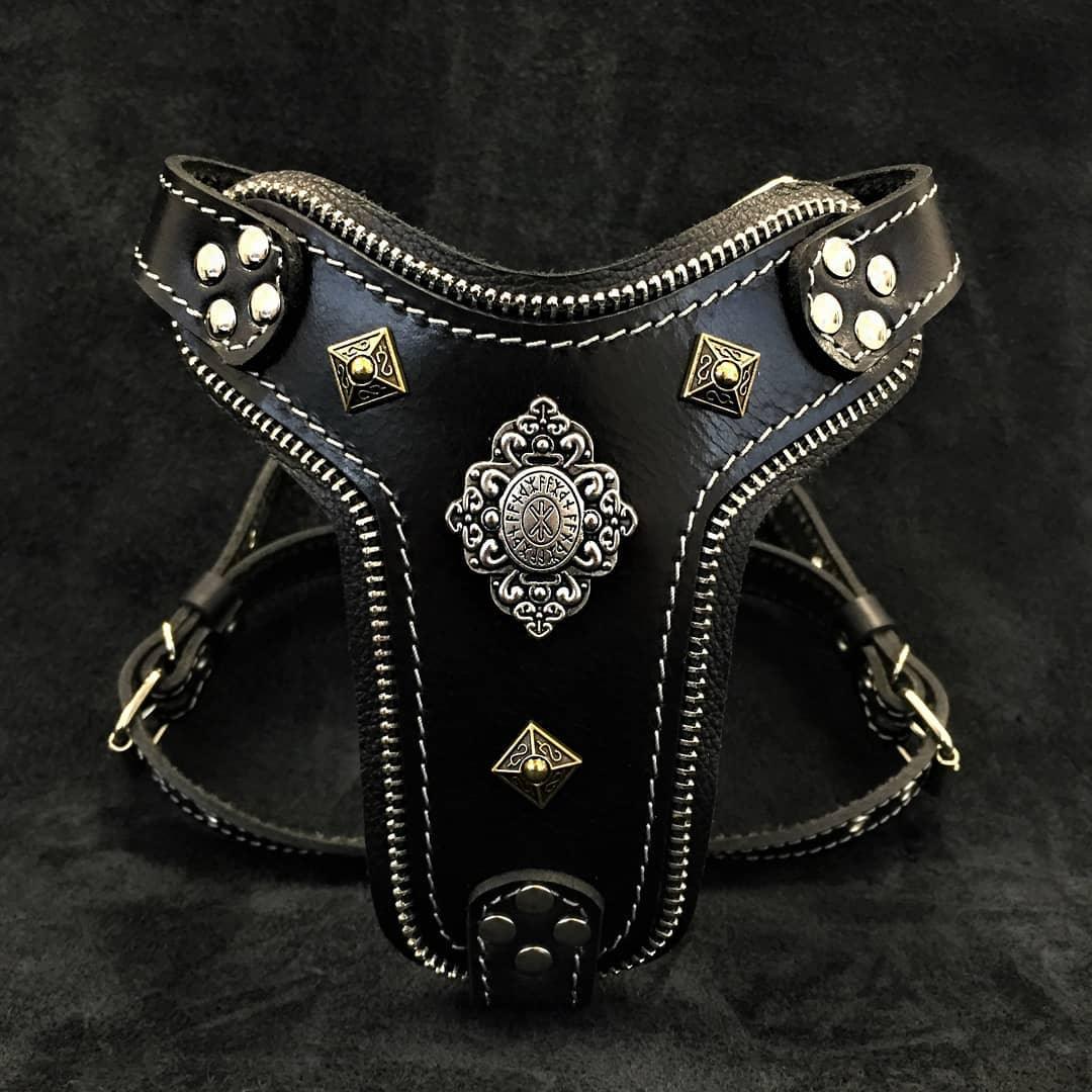 The ''Aztec'' harness Black Small to Medium Size - Tampa Home & Garden Store