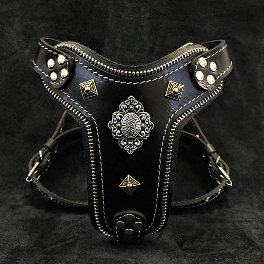 The ''Aztec'' harness Black Small to Medium Size - Tampa Home & Garden Store