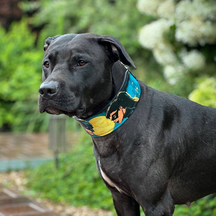 The BCW Limited Collar - Tampa Home & Garden Store