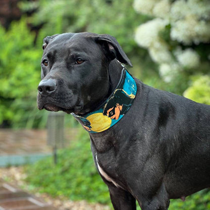 The BCW Limited Collar - Tampa Home & Garden Store