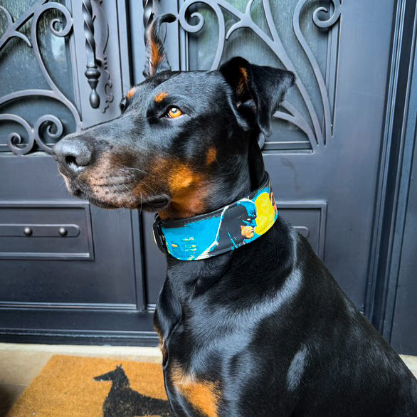 The BCW Limited Collar - Tampa Home & Garden Store