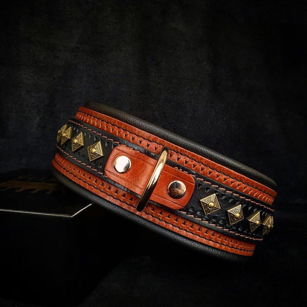 The "Balteus" brown collar - Tampa Home & Garden Store