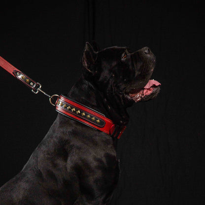 The "Balteus" red collar - Tampa Home & Garden Store