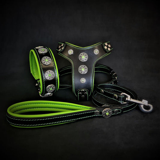 The ''Bijou'' SET -  Collar, Harness, Leash. Green - Tampa Home & Garden Store