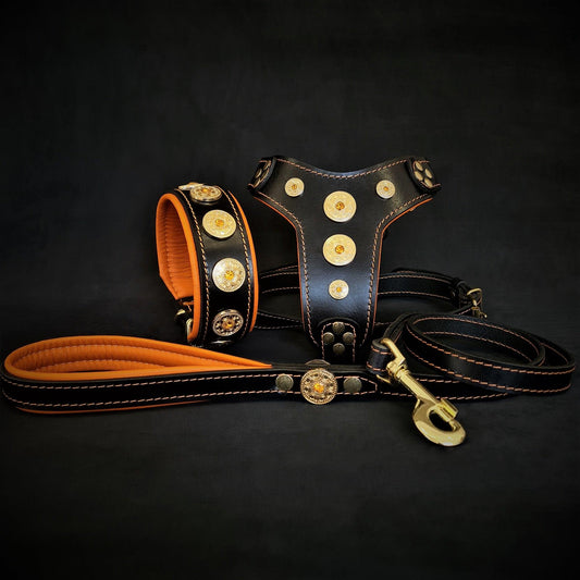 The ''Bijou'' SET -  Collar, Harness, Leash. Orange - Tampa Home & Garden Store