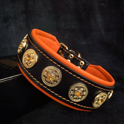 The "Bijou" collar orange - Tampa Home & Garden Store