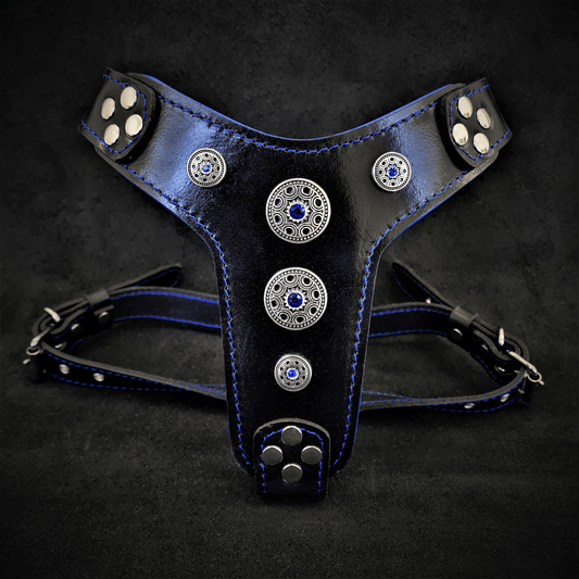 The ''Bijou'' harness Black & Blue Small to Medium Size - Tampa Home & Garden Store