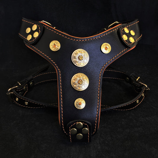 The ''Bijou'' harness Black & Orange Small to Medium Size - Tampa Home & Garden Store