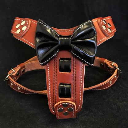 The "Bowtie" leather harness brown Small to Medium Size - Tampa Home & Garden Store