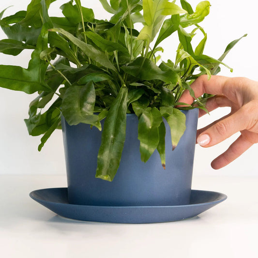 Geometric Oval Handmade Porcelain Planter deep blue Ember Collective Pots & Planters on Tampa Home & Garden Store