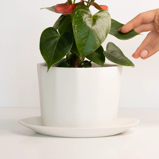 Geometric Oval Handmade Porcelain Planter white ceramic pot with saucer Ember Collective on Tampa Home & Garden Store
