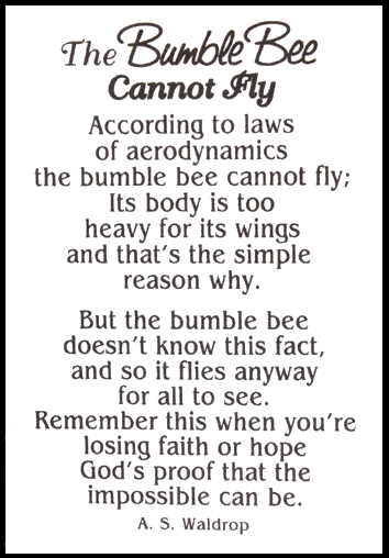 The Bumble Bee Cannot Fly - Charm - Tampa Home & Garden Store