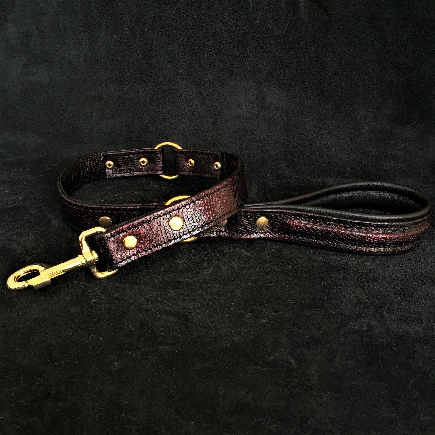 The ''COBRA'' leash - Tampa Home & Garden Store