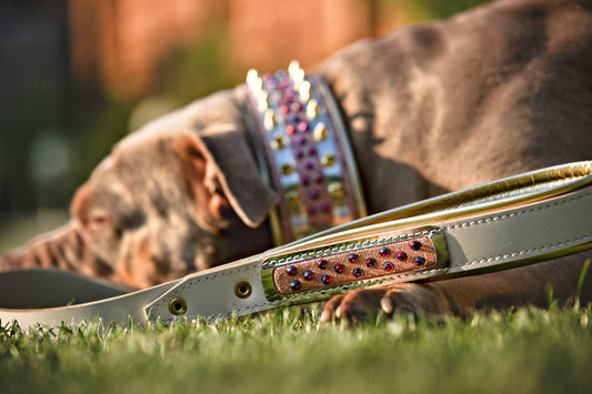 The Candy Leash - Tampa Home & Garden Store