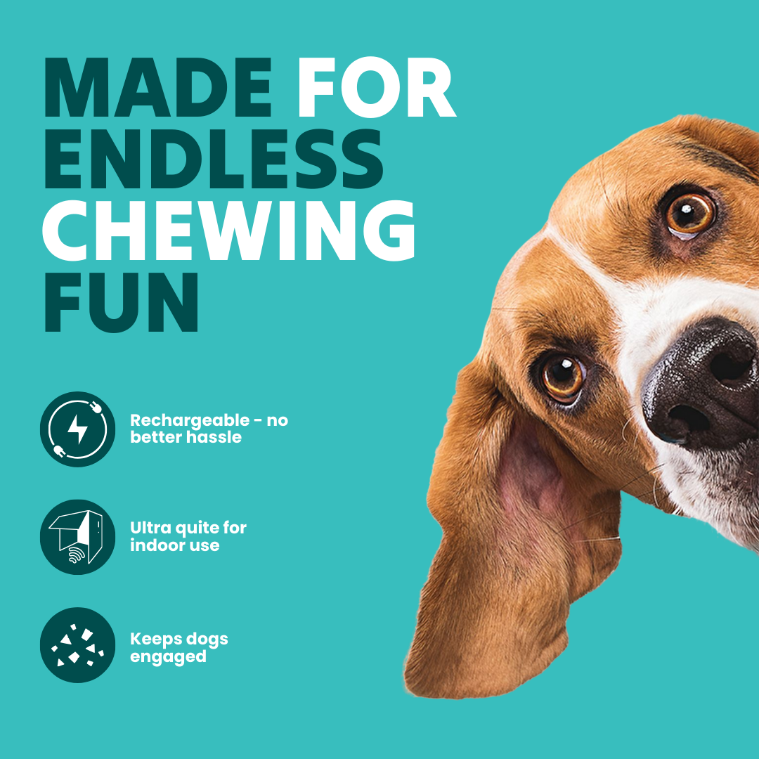 The Chase Buddy Dog Boredom Stimulating Toy - Tampa Home & Garden Store