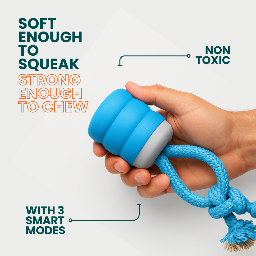 The Chase Buddy Dog Boredom Stimulating Toy - Tampa Home & Garden Store