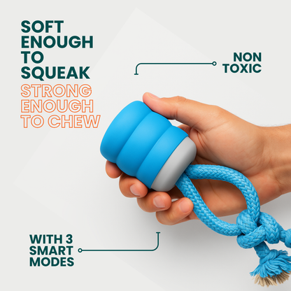 The Chase Buddy Dog Boredom Stimulating Toy - Tampa Home & Garden Store