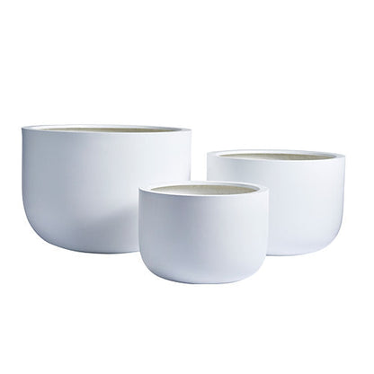 The Chop Low-Profile Planter | Wide Rim Feature Tree Pot