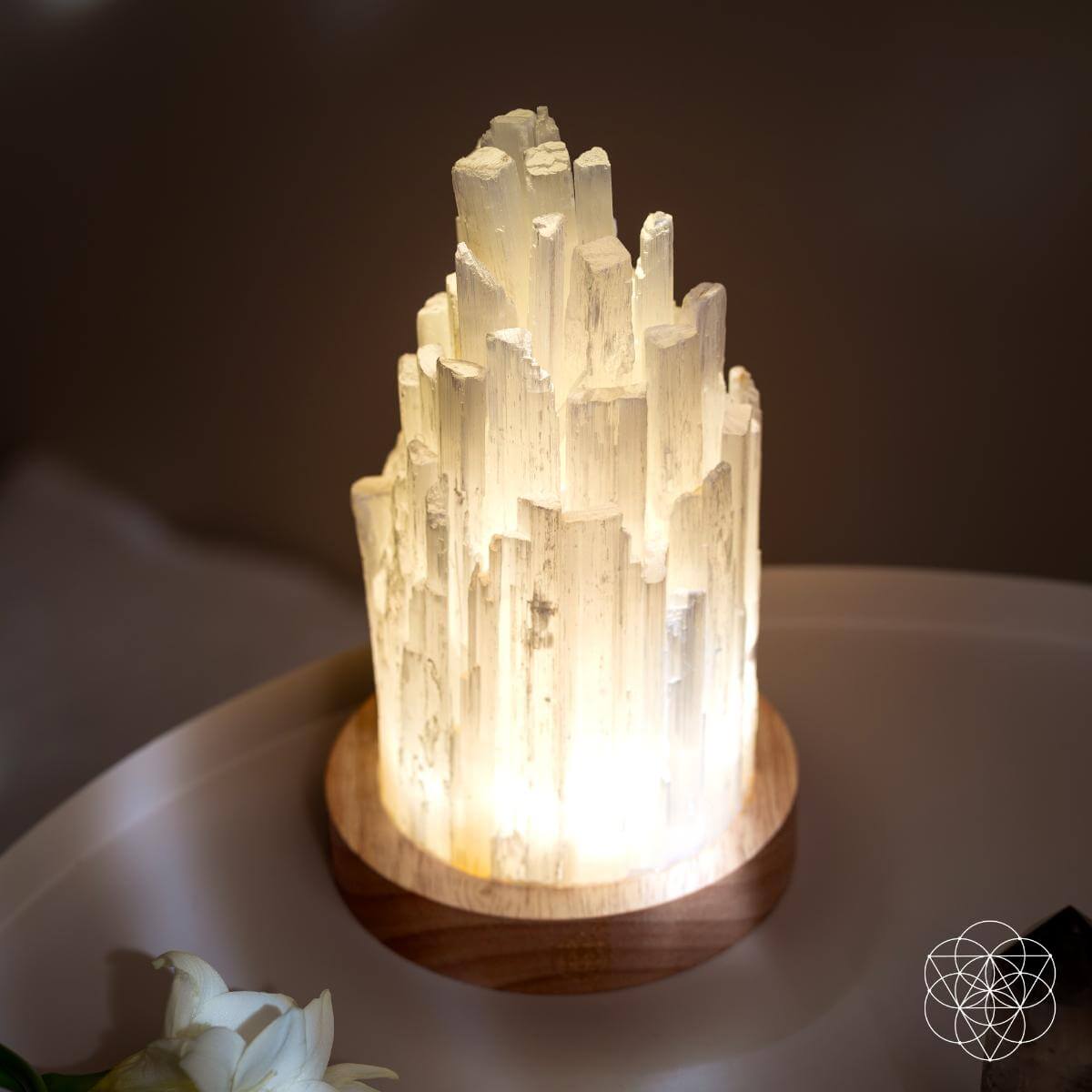 The Cleanse-All Selenite Lamp - 2 Pounds of Healing Power - Tampa Home & Garden Store