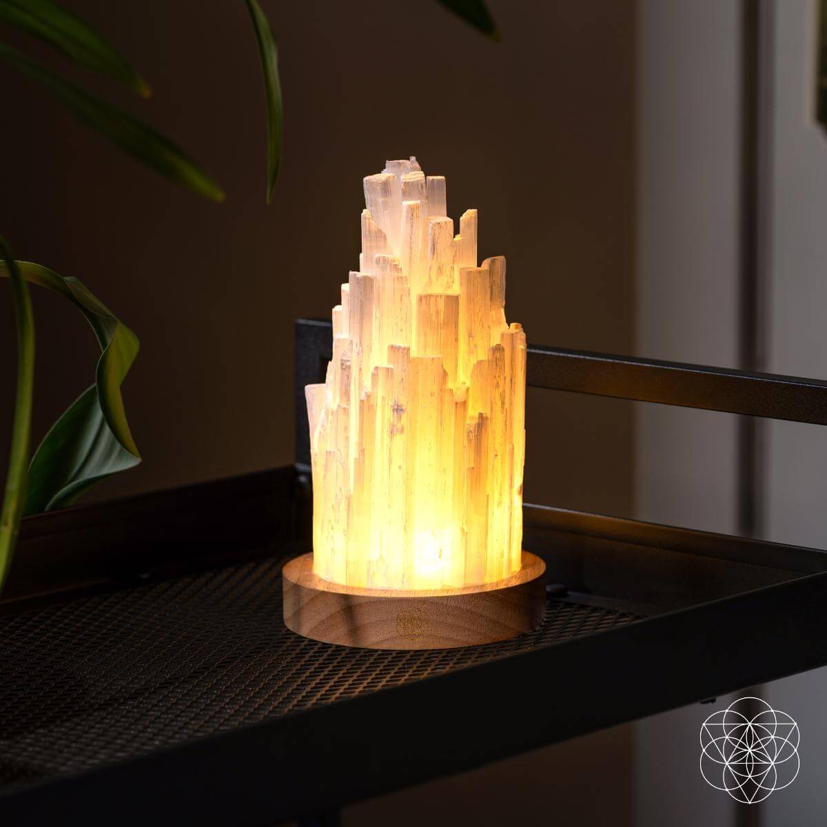 The Cleanse-All Selenite Lamp - 2 Pounds of Healing Power - Tampa Home & Garden Store