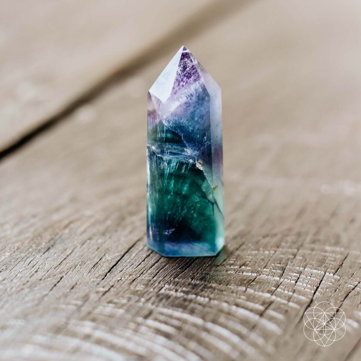 The Cleansing Stone - Tampa Home & Garden Store