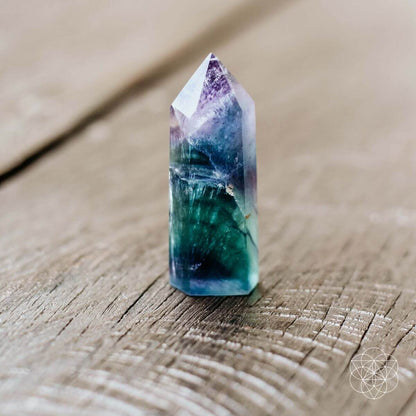 The Cleansing Stone - Tampa Home & Garden Store