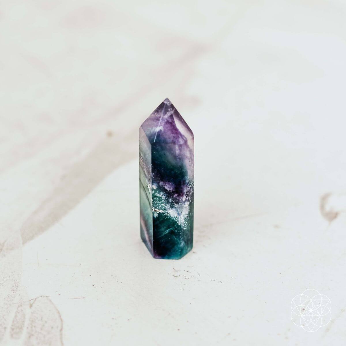 The Cleansing Stone - Tampa Home & Garden Store