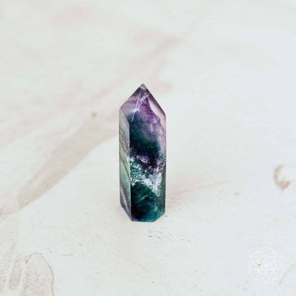 The Cleansing Stone - Tampa Home & Garden Store