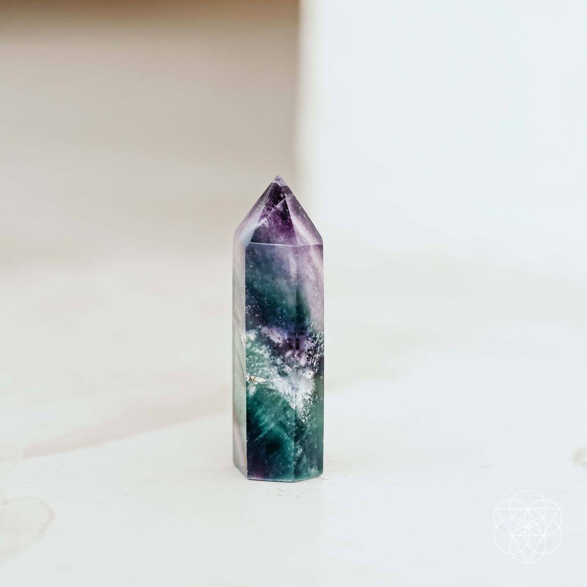 The Cleansing Stone - Tampa Home & Garden Store