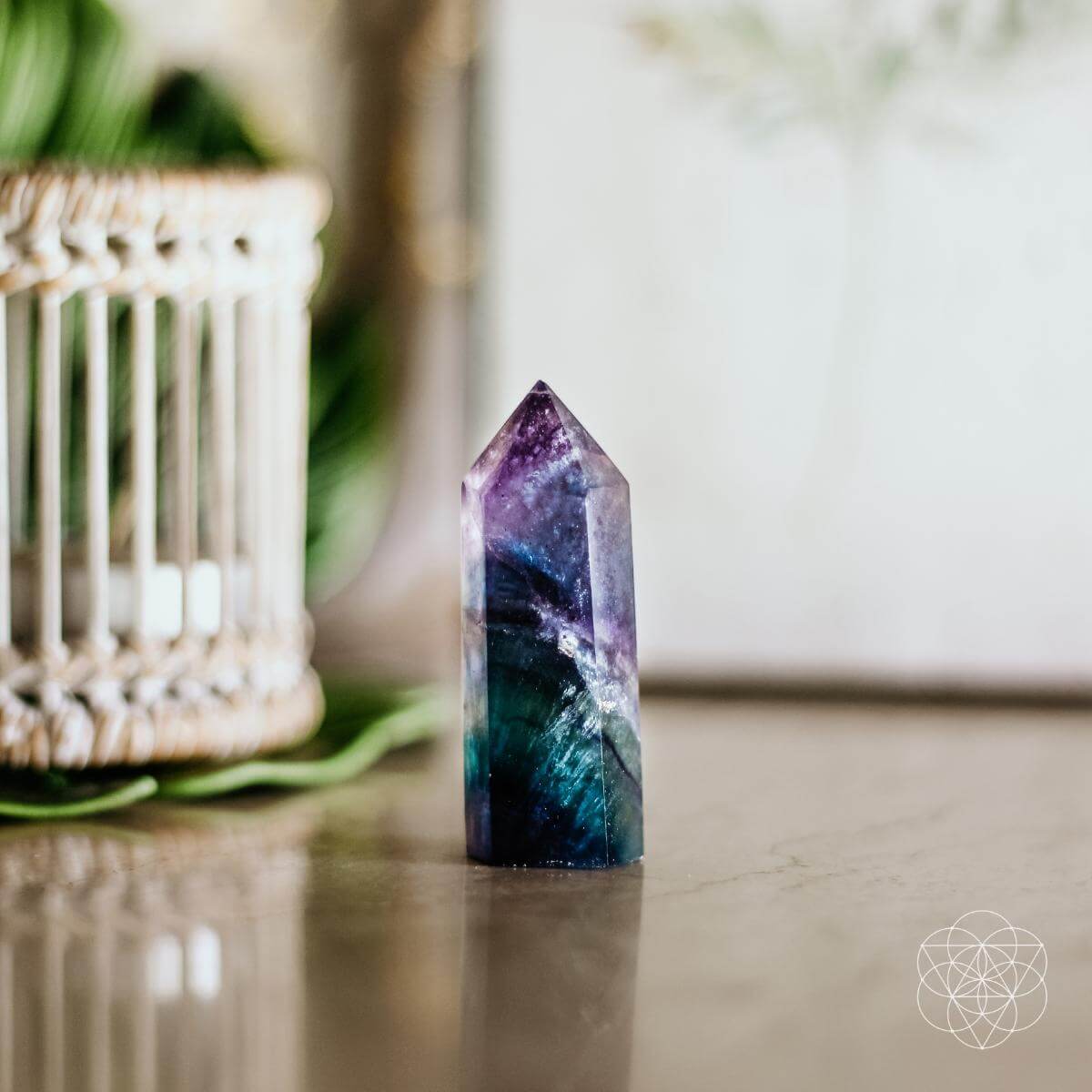 The Cleansing Stone - Tampa Home & Garden Store