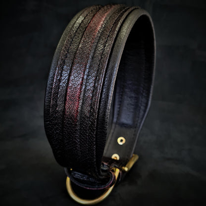 The ''Cobra'' collar - Tampa Home & Garden Store