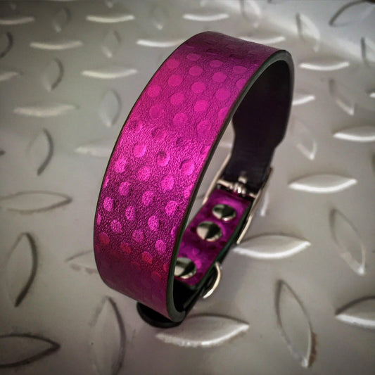 The "Corfu" puppy collar - Tampa Home & Garden Store