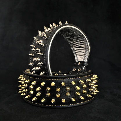 The "Crown" collar Black - Tampa Home & Garden Store