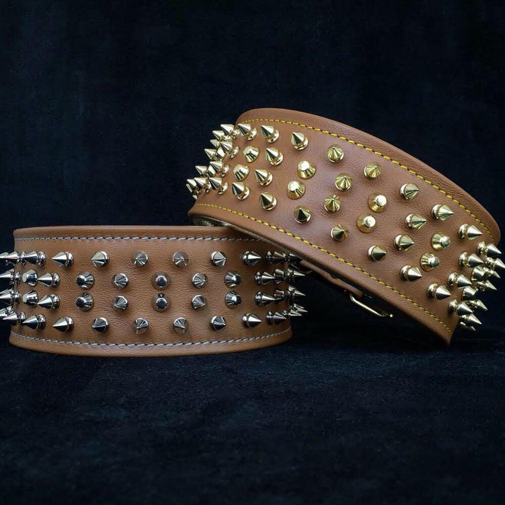 The "Crown" collar - Tampa Home & Garden Store