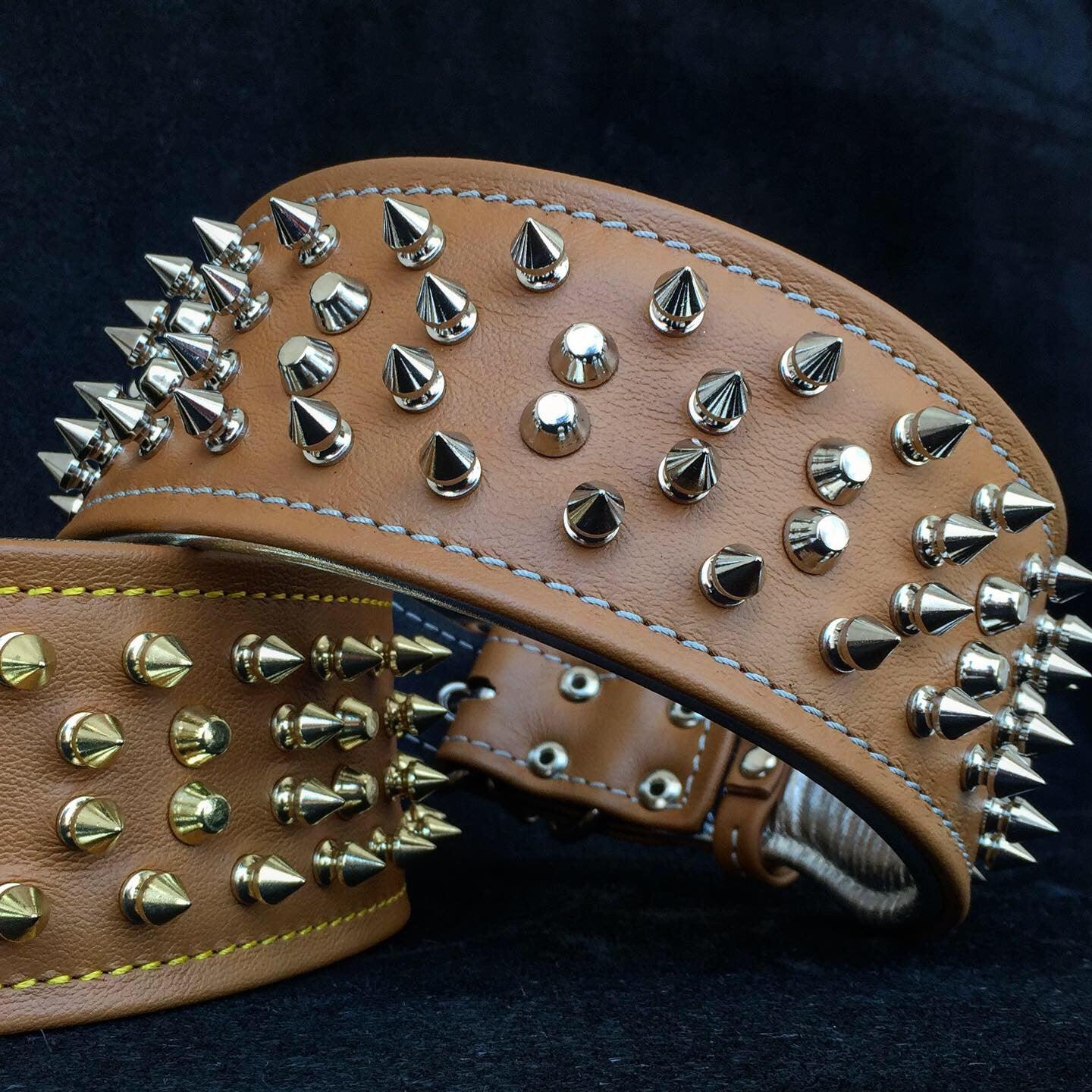 The "Crown" collar - Tampa Home & Garden Store