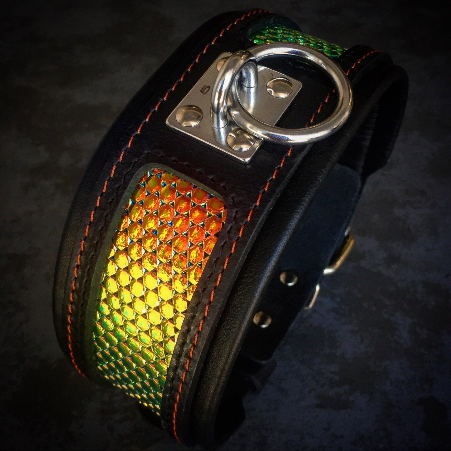 The ''D`Albertis'' collar - Tampa Home & Garden Store
