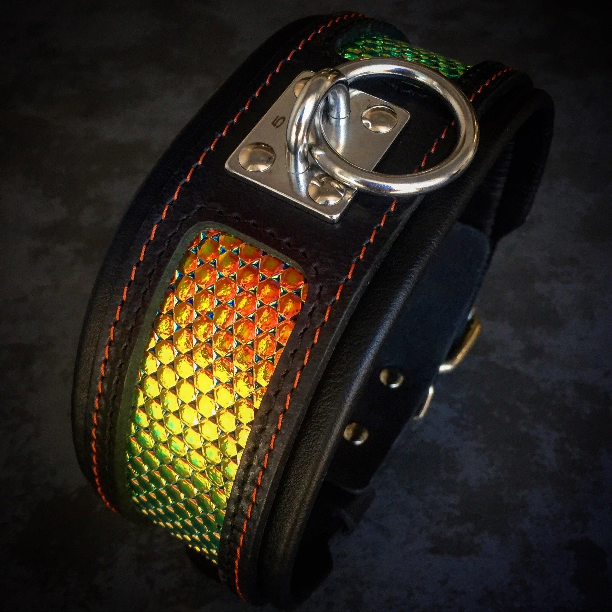 The ''D`Albertis'' collar - Tampa Home & Garden Store