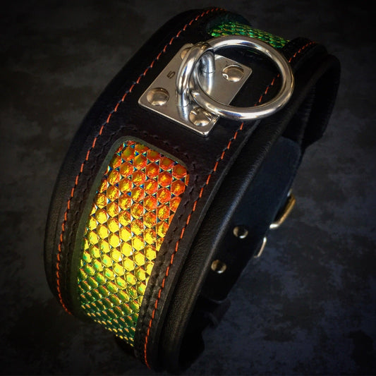 The ''D`Albertis'' collar - Tampa Home & Garden Store