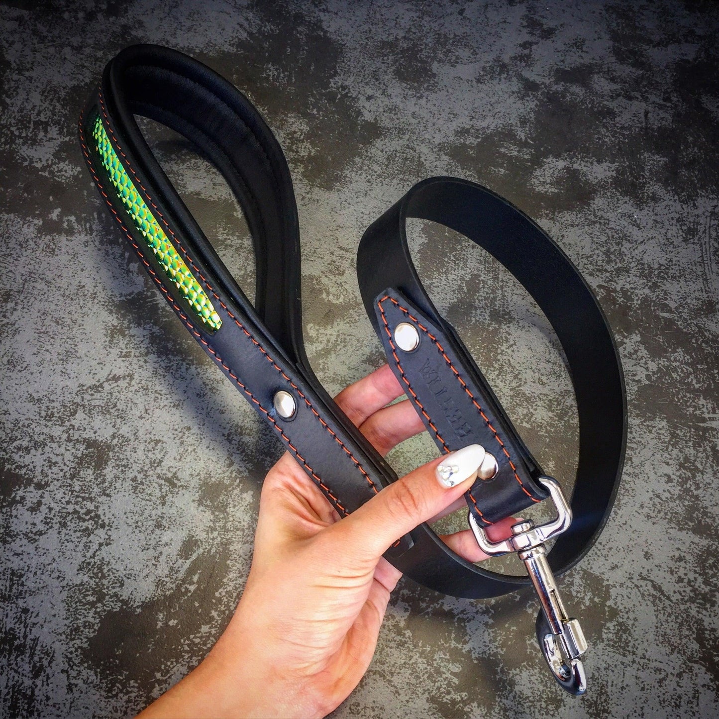 The ''D`Albertis'' collar - Tampa Home & Garden Store