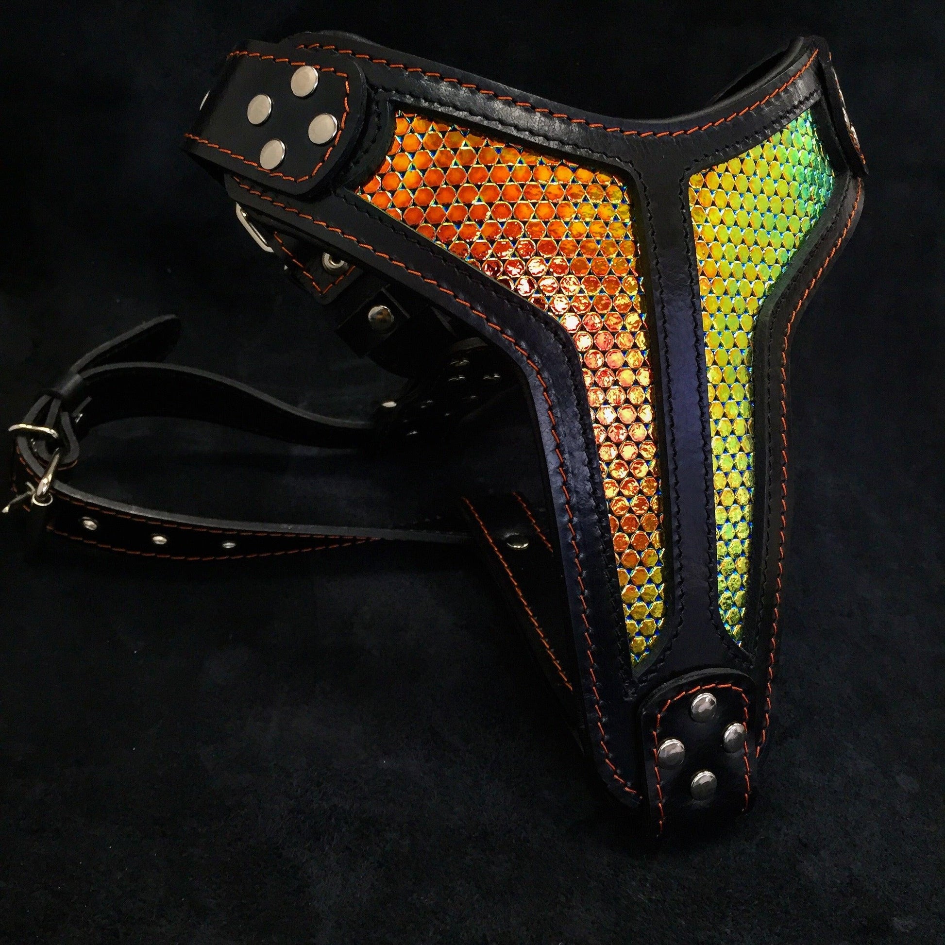 The ''D`Albertis'' harness LIMITED - Tampa Home & Garden Store