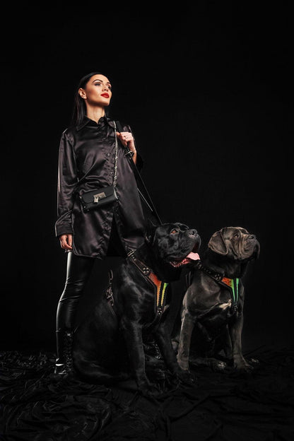 The ''D`Albertis'' harness LIMITED - Tampa Home & Garden Store