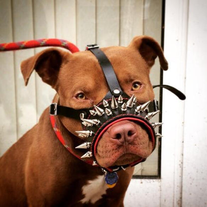 The "Danger" muzzle - Tampa Home & Garden Store